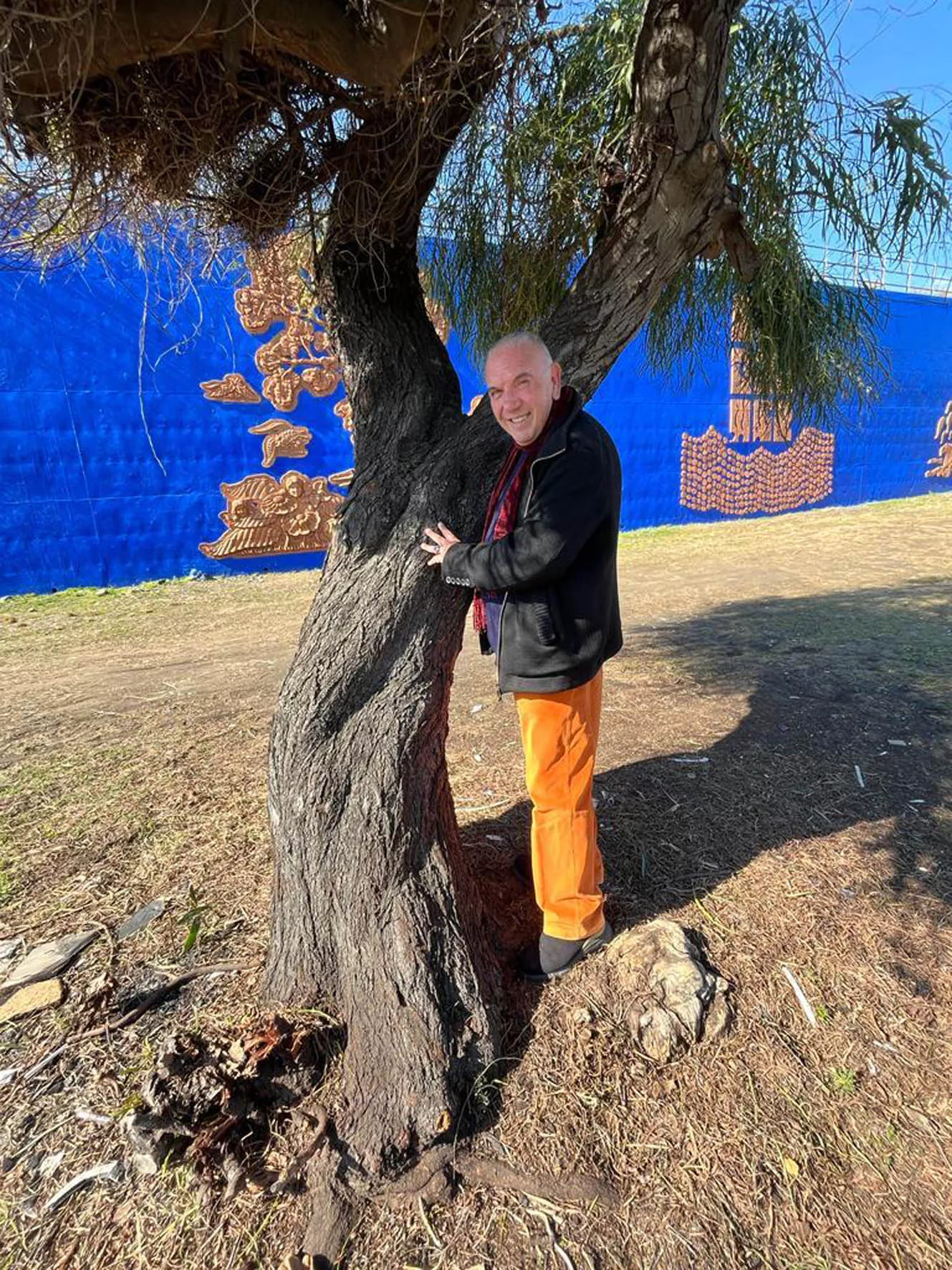 Porta delle farfalle_Librino (5)