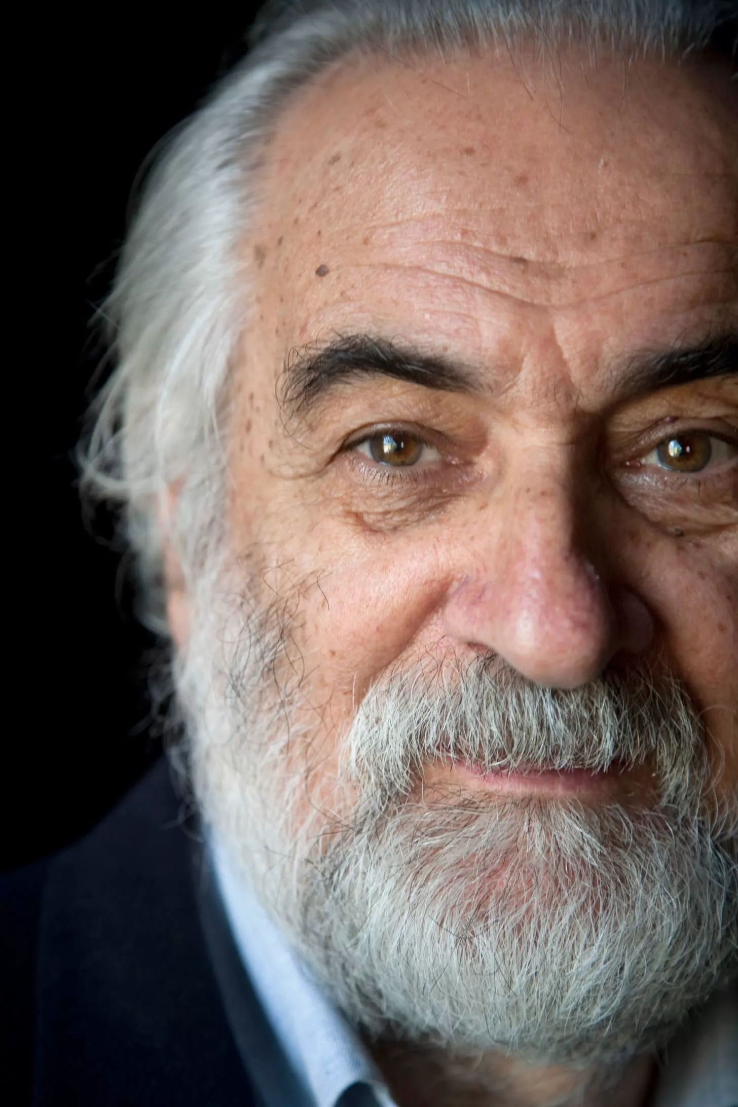 Mauro Staccioli copia 2