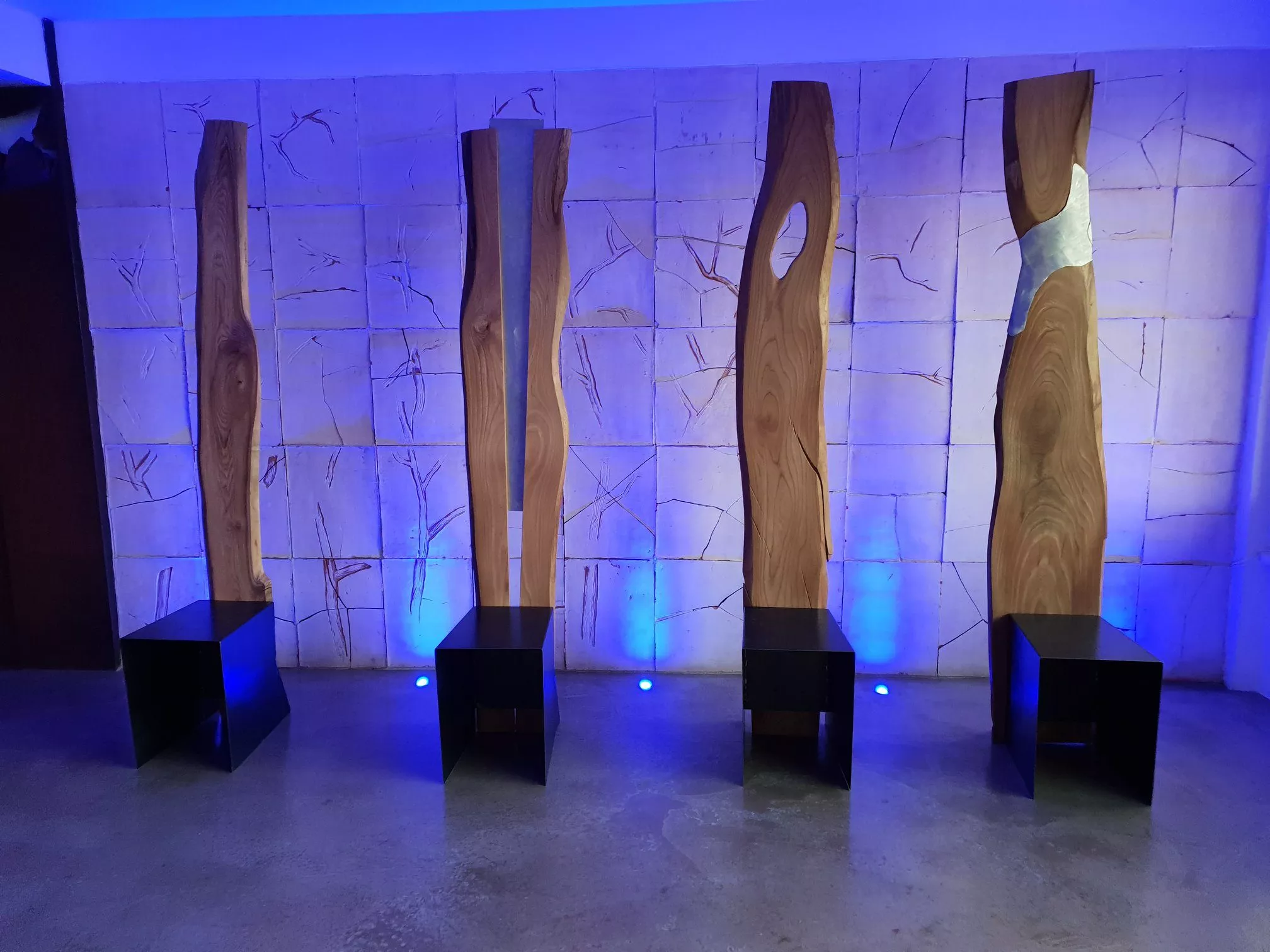 2011 Bosco incantato (8)