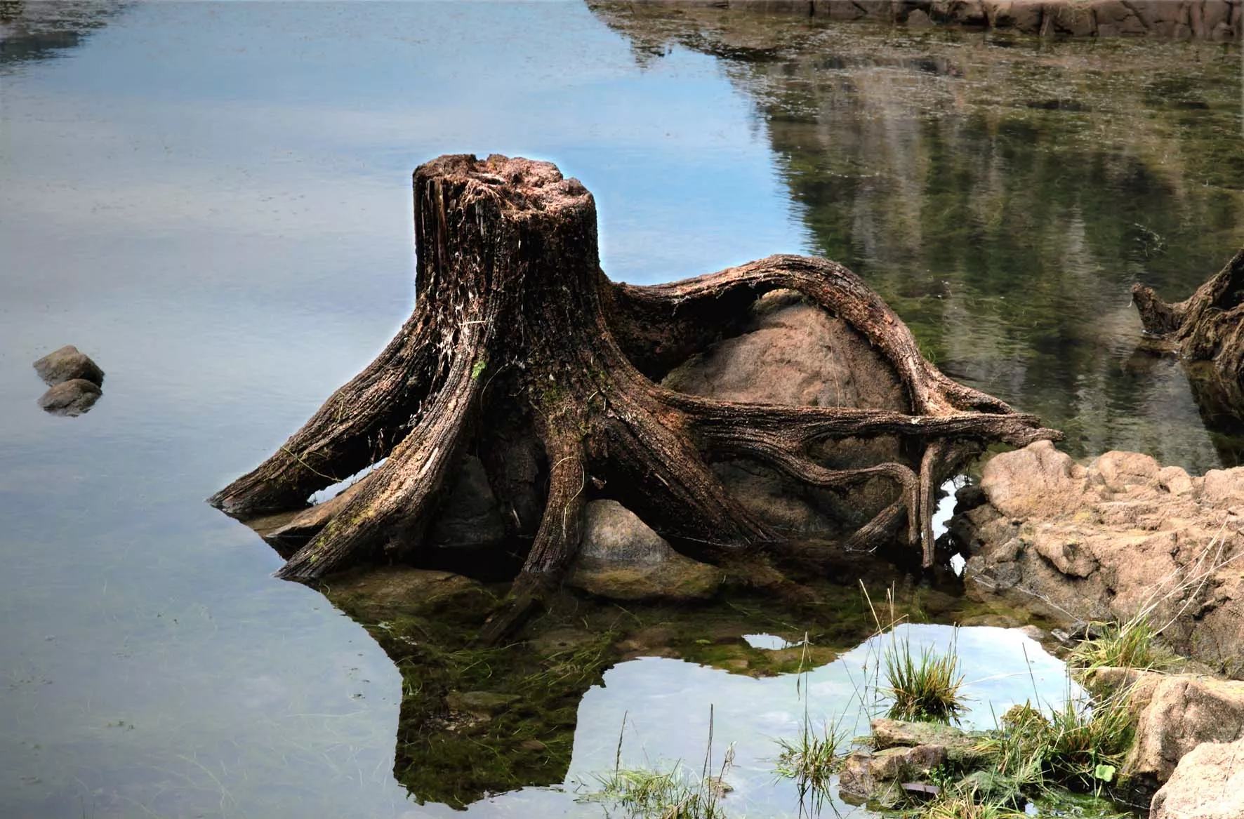 Nel silenzio_Pina Inferrera (6)