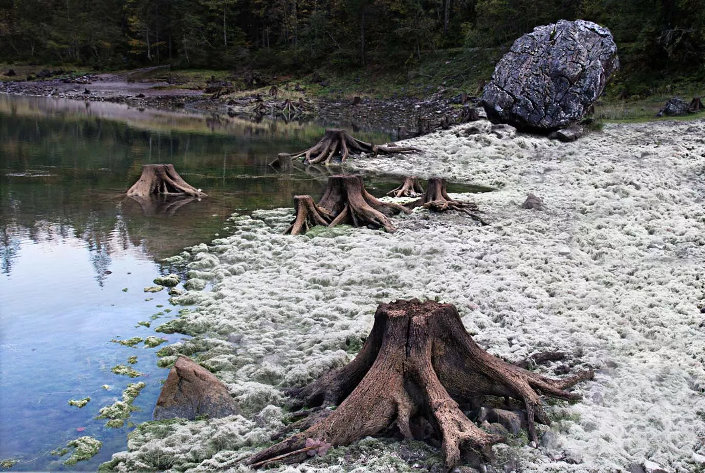 Nel silenzio_Pina Inferrera (8)