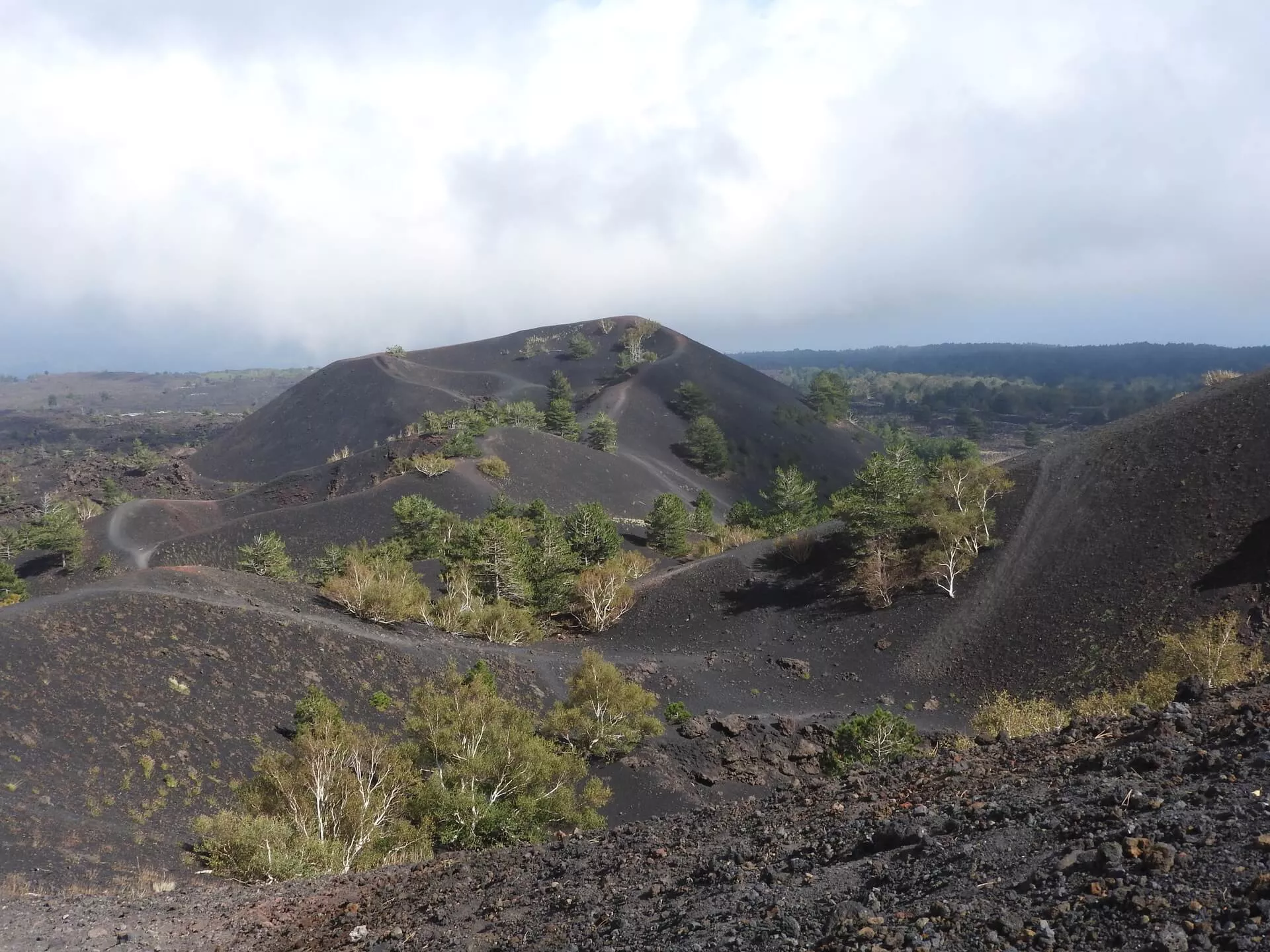 125 Betulle – Sartorius