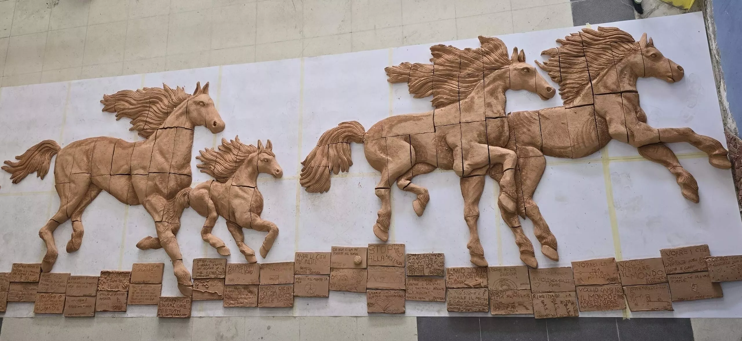 20241120_120240 – Copia